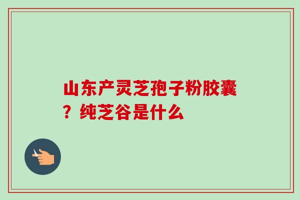 山东产灵芝孢子粉胶囊?纯芝谷是什么-第1张图片-卓越灵芝孢子粉 山东产灵芝孢子粉胶囊?纯芝谷是什么-第1张图片-卓越灵芝孢子粉