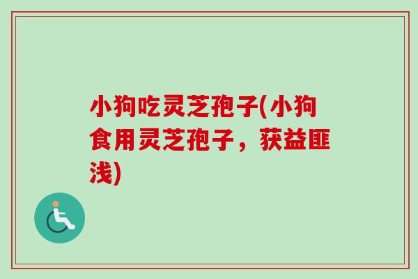 小狗吃灵芝孢子(小狗食用灵芝孢子，获益匪浅)-第1张图片-卓越灵芝孢子粉