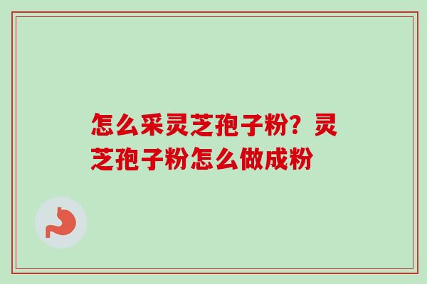 怎么采灵芝孢子粉?灵芝孢子粉怎么做成粉-第1张图片-卓越灵芝孢子粉 怎么采灵芝孢子粉?灵芝孢子粉怎么做成粉-第1张图片-卓越灵芝孢子粉