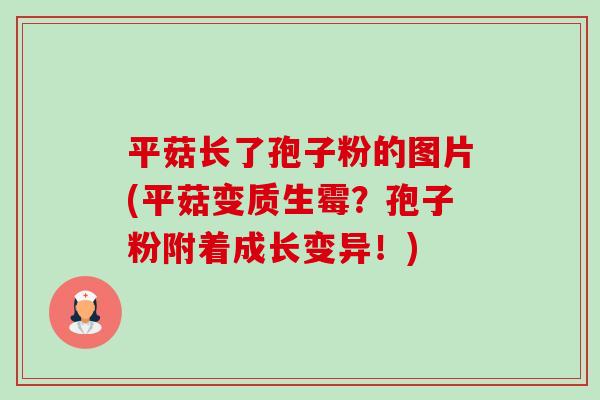 平菇长了孢子粉的图片(平菇变质生霉?孢子粉附着成长变异!)-第1张图片-卓越灵芝孢子粉 平菇长了孢子粉的图片(平菇变质生霉?孢子粉附着成长变异!)-第1张图片-卓越灵芝孢子粉