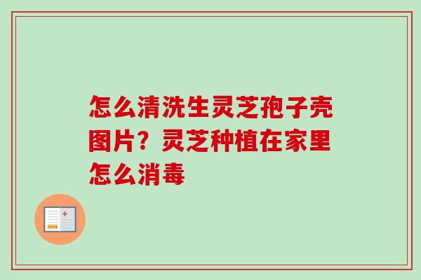 怎么清洗生灵芝孢子壳图片?灵芝种植在家里怎么消毒-第1张图片-卓越灵芝孢子粉 怎么清洗生灵芝孢子壳图片?灵芝种植在家里怎么消毒-第1张图片-卓越灵芝孢子粉