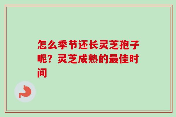 怎么季节还长灵芝孢子呢?灵芝成熟的最佳时间-第1张图片-卓越灵芝孢子粉 怎么季节还长灵芝孢子呢?灵芝成熟的最佳时间-第1张图片-卓越灵芝孢子粉