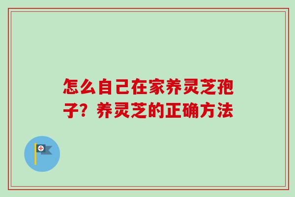 怎么自己在家养灵芝孢子？养灵芝的正确方法-第1张图片-卓越灵芝孢子粉