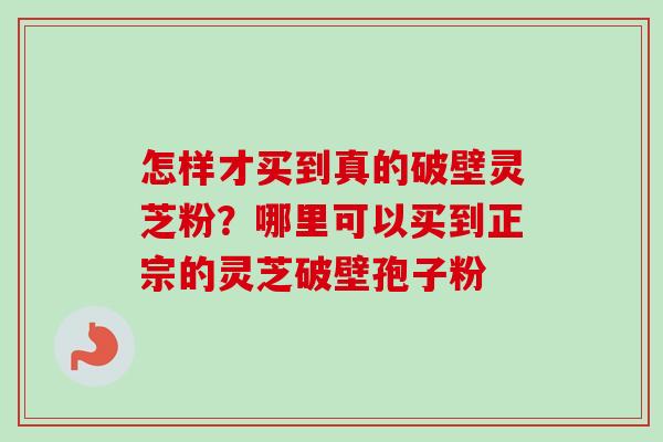 怎样才买到真的破壁灵芝粉？哪里可以买到正宗的灵芝破壁孢子粉-第1张图片-卓越灵芝孢子粉