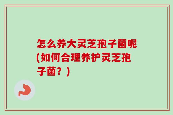 怎么养大灵芝孢子菌呢(如何合理养护灵芝孢子菌?)-第1张图片-卓越灵芝孢子粉 怎么养大灵芝孢子菌呢(如何合理养护灵芝孢子菌?)-第1张图片-卓越灵芝孢子粉