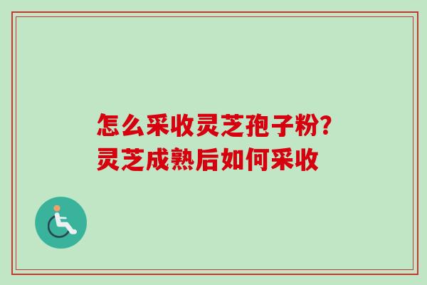 怎么采收灵芝孢子粉?灵芝成熟后如何采收-第1张图片-卓越灵芝孢子粉 怎么采收灵芝孢子粉?灵芝成熟后如何采收-第1张图片-卓越灵芝孢子粉
