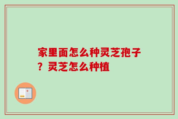 家里面怎么种灵芝孢子？灵芝怎么种植-第1张图片-卓越灵芝孢子粉