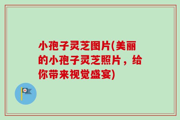 小孢子灵芝图片(美丽的小孢子灵芝照片,给你带来视觉盛宴)-第1张图片-卓越灵芝孢子粉 小孢子灵芝图片(美丽的小孢子灵芝照片,给你带来视觉盛宴)-第1张图片-卓越灵芝孢子粉