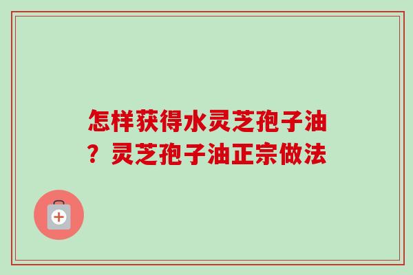 怎样获得水灵芝孢子油?灵芝孢子油正宗做法-第1张图片-卓越灵芝孢子粉 怎样获得水灵芝孢子油?灵芝孢子油正宗做法-第1张图片-卓越灵芝孢子粉