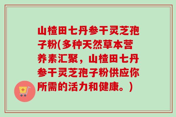 山楂田七丹参干灵芝孢子粉(多种天然草本营养素汇聚，山楂田七丹参干灵芝孢子粉供应你所需的活力和健康。)-第1张图片-卓越灵芝孢子粉