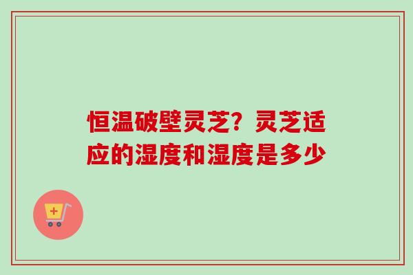 恒温破壁灵芝?灵芝适应的湿度和湿度是多少-第1张图片-卓越灵芝孢子粉 恒温破壁灵芝?灵芝适应的湿度和湿度是多少-第1张图片-卓越灵芝孢子粉
