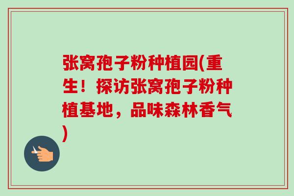 张窝孢子粉种植园(重生！探访张窝孢子粉种植基地，品味森林香气)-第1张图片-卓越灵芝孢子粉
