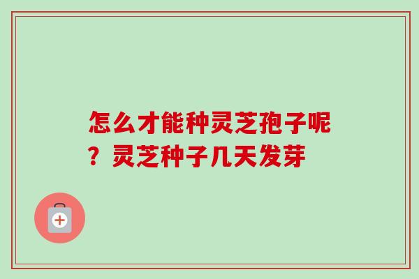 怎么才能种灵芝孢子呢？灵芝种子几天发芽-第1张图片-卓越灵芝孢子粉