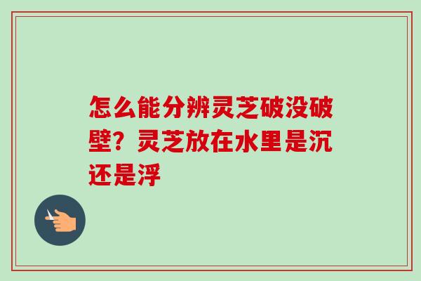 怎么能分辨灵芝破没破壁？灵芝放在水里是沉还是浮-第1张图片-卓越灵芝孢子粉