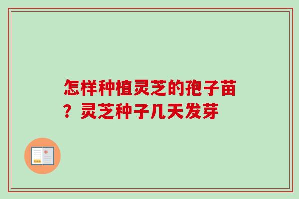 怎样种植灵芝的孢子苗?灵芝种子几天发芽-第1张图片-卓越灵芝孢子粉 怎样种植灵芝的孢子苗?灵芝种子几天发芽-第1张图片-卓越灵芝孢子粉