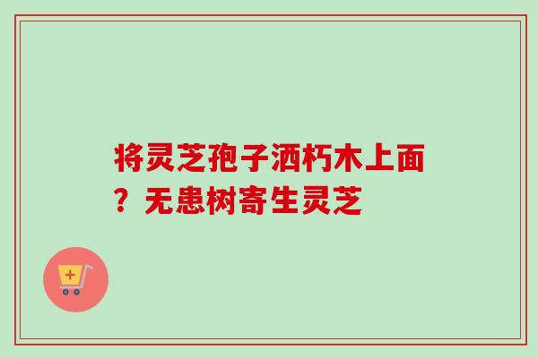 将灵芝孢子洒朽木上面？无患树寄生灵芝-第1张图片-卓越灵芝孢子粉