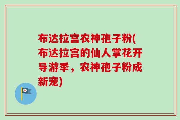 布达拉宫农神孢子粉(布达拉宫的仙人掌花开导游季，农神孢子粉成新宠)-第1张图片-卓越灵芝孢子粉