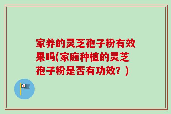 家养的灵芝孢子粉有效果吗(家庭种植的灵芝孢子粉是否有功效?)-第1张图片-卓越灵芝孢子粉 家养的灵芝孢子粉有效果吗(家庭种植的灵芝孢子粉是否有功效?)-第1张图片-卓越灵芝孢子粉