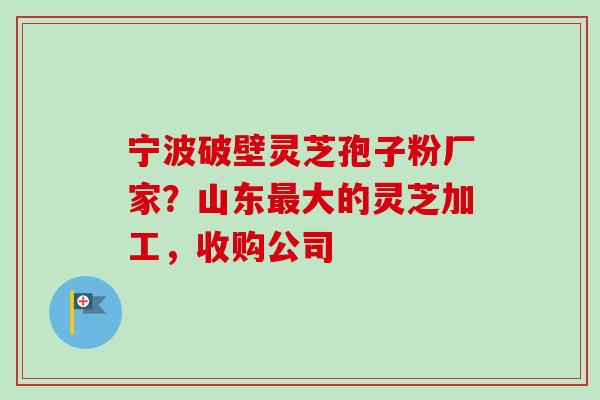 宁波破壁灵芝孢子粉厂家？山东最大的灵芝加工，收购公司-第1张图片-卓越灵芝孢子粉