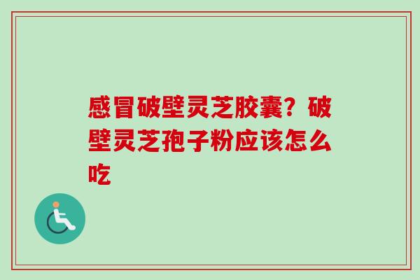 感冒破壁灵芝胶囊？破壁灵芝孢子粉应该怎么吃-第1张图片-卓越灵芝孢子粉