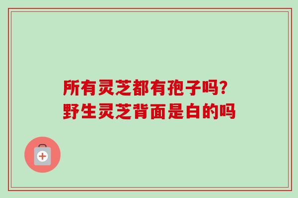 所有灵芝都有孢子吗?野生灵芝背面是白的吗-第1张图片-卓越灵芝孢子粉 所有灵芝都有孢子吗?野生灵芝背面是白的吗-第1张图片-卓越灵芝孢子粉