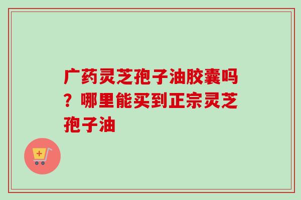 广药灵芝孢子油胶囊吗？哪里能买到正宗灵芝孢子油-第1张图片-卓越灵芝孢子粉