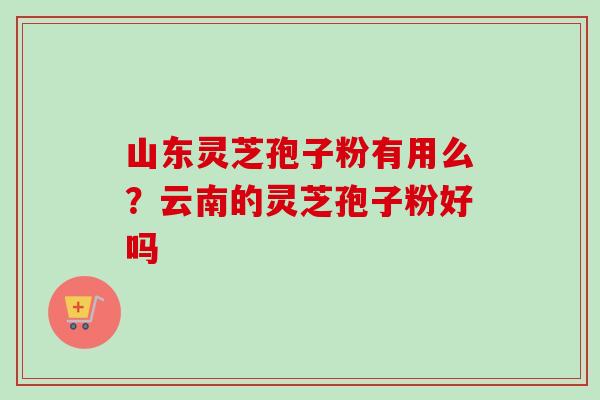 山东灵芝孢子粉有用么？云南的灵芝孢子粉好吗-第1张图片-卓越灵芝孢子粉