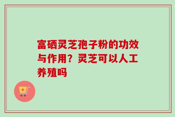 富硒灵芝孢子粉的功效与作用?灵芝可以人工养殖吗-第1张图片-卓越灵芝孢子粉 富硒灵芝孢子粉的功效与作用?灵芝可以人工养殖吗-第1张图片-卓越灵芝孢子粉