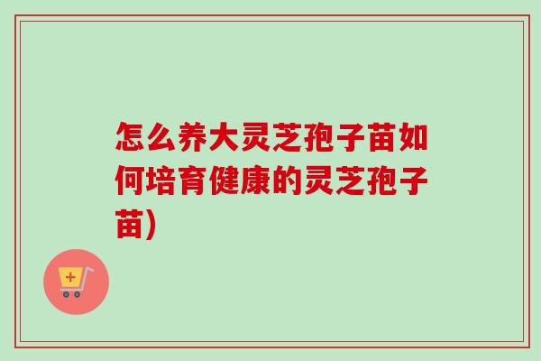 怎么养大灵芝孢子苗如何培育健康的灵芝孢子苗)-第1张图片-卓越灵芝孢子粉 怎么养大灵芝孢子苗如何培育健康的灵芝孢子苗)-第1张图片-卓越灵芝孢子粉