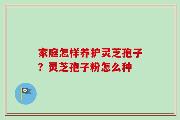 家庭怎样养护灵芝孢子？灵芝孢子粉怎么种-第1张图片-卓越灵芝孢子粉