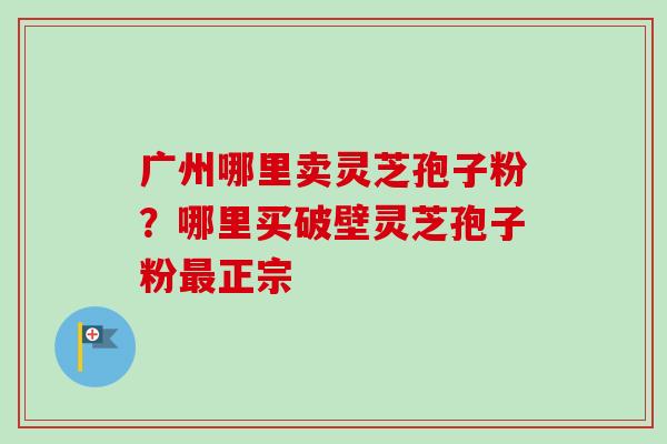 广州哪里卖灵芝孢子粉？哪里买破壁灵芝孢子粉最正宗-第1张图片-卓越灵芝孢子粉