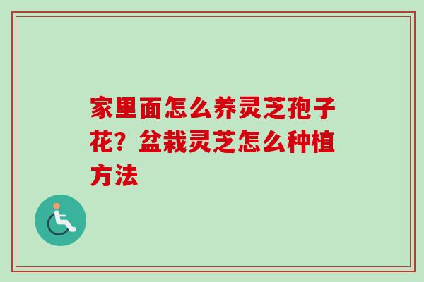 家里面怎么养灵芝孢子花？盆栽灵芝怎么种植方法-第1张图片-卓越灵芝孢子粉