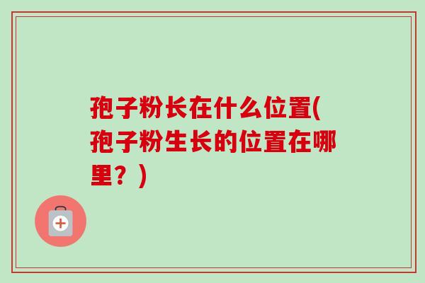 孢子粉长在什么位置(孢子粉生长的位置在哪里?)-第1张图片-卓越灵芝孢子粉 孢子粉长在什么位置(孢子粉生长的位置在哪里?)-第1张图片-卓越灵芝孢子粉