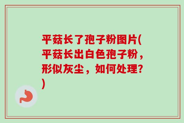 平菇长了孢子粉图片(平菇长出白色孢子粉,形似灰尘,如何处理?)-第1张图片-卓越灵芝孢子粉 平菇长了孢子粉图片(平菇长出白色孢子粉,形似灰尘,如何处理?)-第1张图片-卓越灵芝孢子粉