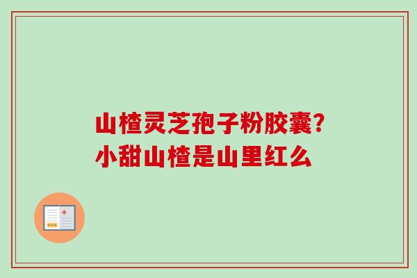 山楂灵芝孢子粉胶囊?小甜山楂是山里红么-第1张图片-卓越灵芝孢子粉 山楂灵芝孢子粉胶囊?小甜山楂是山里红么-第1张图片-卓越灵芝孢子粉