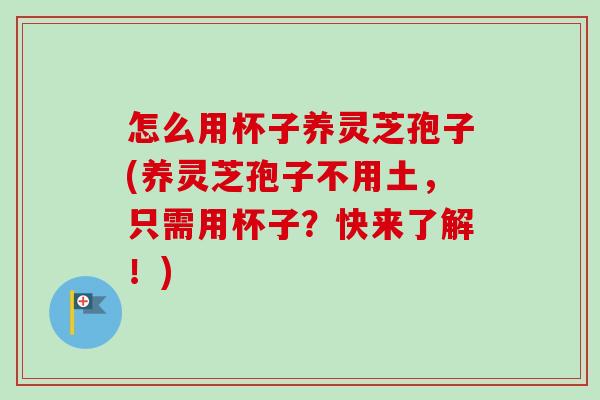 怎么用杯子养灵芝孢子(养灵芝孢子不用土,只需用杯子?快来了解!)-第1张图片-卓越灵芝孢子粉 怎么用杯子养灵芝孢子(养灵芝孢子不用土,只需用杯子?快来了解!)-第1张图片-卓越灵芝孢子粉