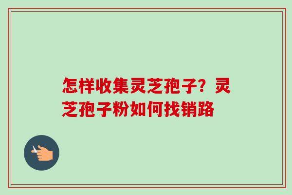 怎样收集灵芝孢子？灵芝孢子粉如何找销路-第1张图片-卓越灵芝孢子粉