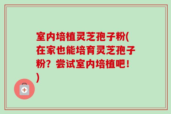 室内培植灵芝孢子粉(在家也能培育灵芝孢子粉?尝试室内培植吧!)-第1张图片-卓越灵芝孢子粉 室内培植灵芝孢子粉(在家也能培育灵芝孢子粉?尝试室内培植吧!)-第1张图片-卓越灵芝孢子粉