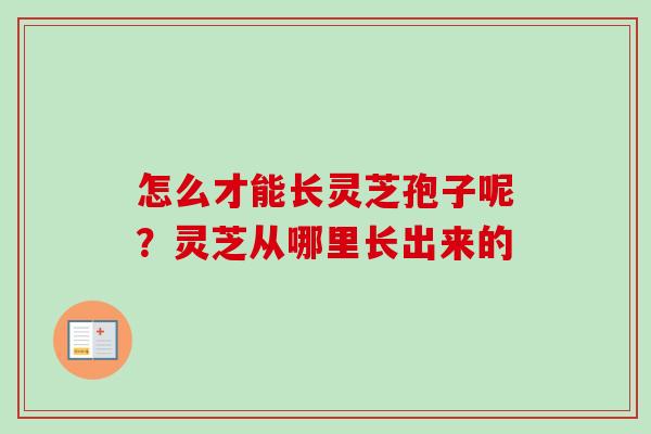 怎么才能长灵芝孢子呢?灵芝从哪里长出来的-第1张图片-卓越灵芝孢子粉 怎么才能长灵芝孢子呢?灵芝从哪里长出来的-第1张图片-卓越灵芝孢子粉