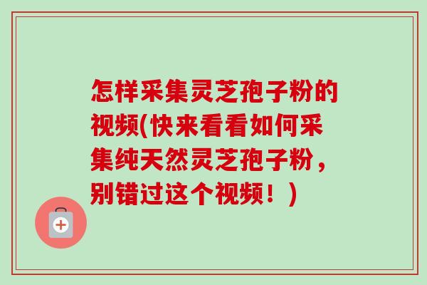怎样采集灵芝孢子粉的视频(快来看看如何采集纯天然灵芝孢子粉，别错过这个视频！)-第1张图片-卓越灵芝孢子粉