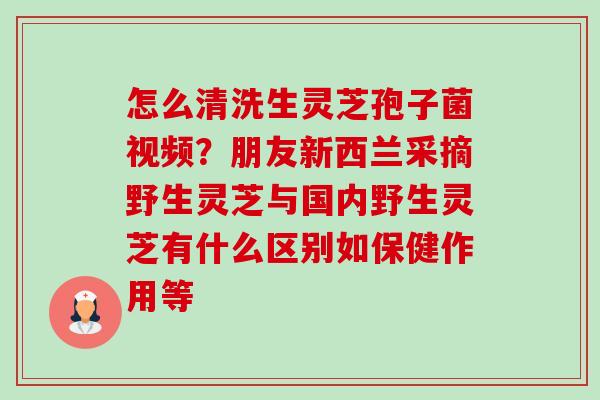 怎么清洗生灵芝孢子菌视频?朋友新西兰采摘野生灵芝与国内野生灵芝有什么区别如保健作用等-第1张图片-卓越灵芝孢子粉 怎么清洗生灵芝孢子菌视频?朋友新西兰采摘野生灵芝与国内野生灵芝有什么区别如保健作用等-第1张图片-卓越灵芝孢子粉