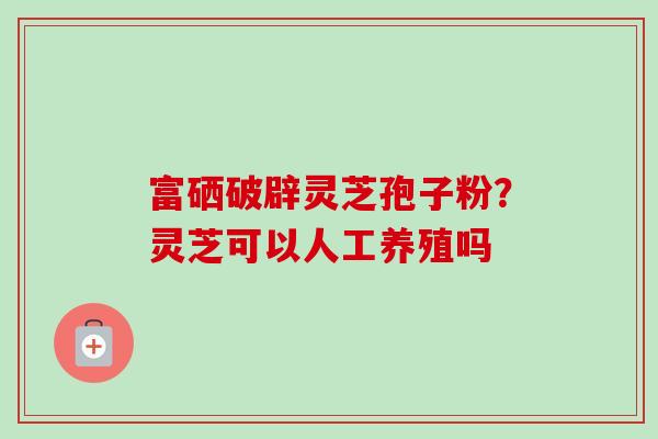 富硒破辟灵芝孢子粉？灵芝可以人工养殖吗-第1张图片-卓越灵芝孢子粉