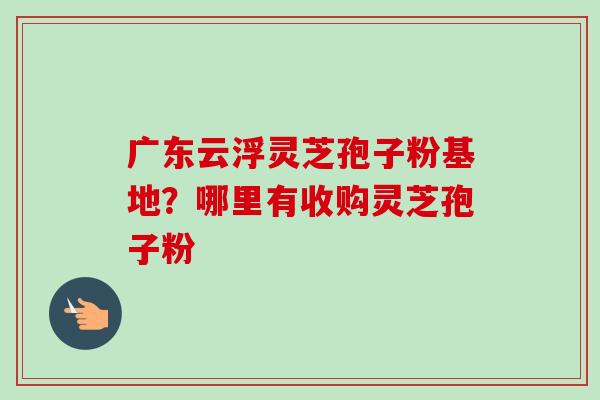 广东云浮灵芝孢子粉基地？哪里有收购灵芝孢子粉-第1张图片-卓越灵芝孢子粉