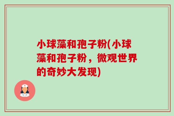 小球藻和孢子粉(小球藻和孢子粉,微观世界的奇妙大发现)-第1张图片-卓越灵芝孢子粉 小球藻和孢子粉(小球藻和孢子粉,微观世界的奇妙大发现)-第1张图片-卓越灵芝孢子粉