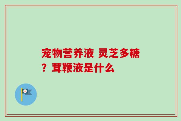 宠物营养液 灵芝多糖?茸鞭液是什么-第1张图片-卓越灵芝孢子粉 宠物营养液 灵芝多糖?茸鞭液是什么-第1张图片-卓越灵芝孢子粉