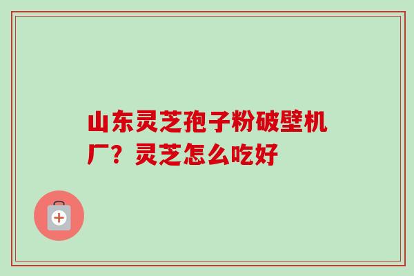 山东灵芝孢子粉破壁机厂?灵芝怎么吃好-第1张图片-卓越灵芝孢子粉 山东灵芝孢子粉破壁机厂?灵芝怎么吃好-第1张图片-卓越灵芝孢子粉