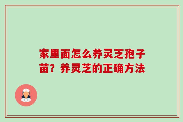 家里面怎么养灵芝孢子苗?养灵芝的正确方法-第1张图片-卓越灵芝孢子粉 家里面怎么养灵芝孢子苗?养灵芝的正确方法-第1张图片-卓越灵芝孢子粉