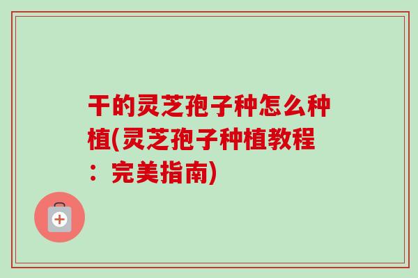 干的灵芝孢子种怎么种植(灵芝孢子种植教程:完美指南)-第1张图片-卓越灵芝孢子粉 干的灵芝孢子种怎么种植(灵芝孢子种植教程:完美指南)-第1张图片-卓越灵芝孢子粉