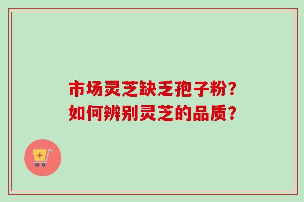 市场灵芝缺乏孢子粉？如何辨别灵芝的品质？-第1张图片-卓越灵芝孢子粉