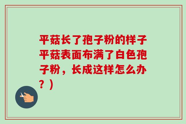 平菇长了孢子粉的样子平菇表面布满了白色孢子粉,长成这样怎么办?)-第1张图片-卓越灵芝孢子粉 平菇长了孢子粉的样子平菇表面布满了白色孢子粉,长成这样怎么办?)-第1张图片-卓越灵芝孢子粉